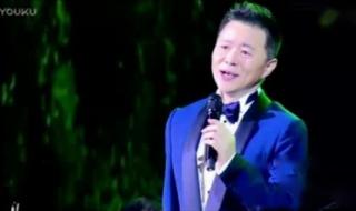 王宏伟十大经典歌曲 王宏伟再见了大别山