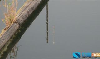 无钩调漂法 无钩调漂法