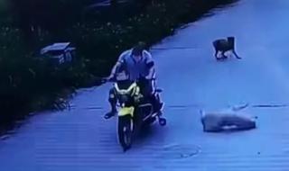 现实版狂飙 现实版狂飙