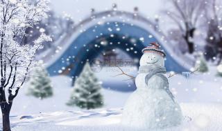 下雪的情景 下雪的情景