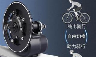 birdy自行车 birdy自行车