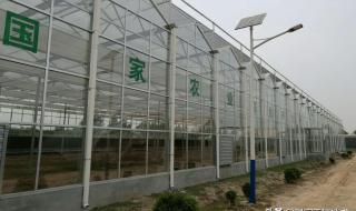 建一亩地温室大棚多钱 建一亩地温室大棚多钱