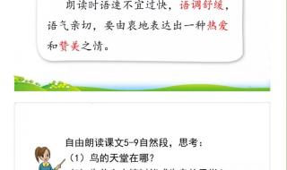 鸟的天堂课堂笔记图片 鸟的天堂课堂笔记图片