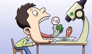 食品企业标准备案 食品企业标准备案