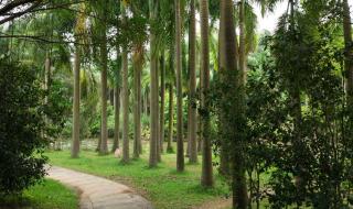 番禺滴水岩森林公园