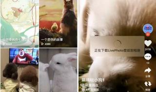 如何设置王者荣耀动态壁纸vivo手机专用 炫酷手机动态壁纸