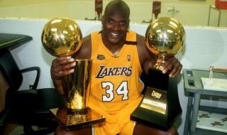 怎么打ufc综合格斗 综合格斗需要什么条件